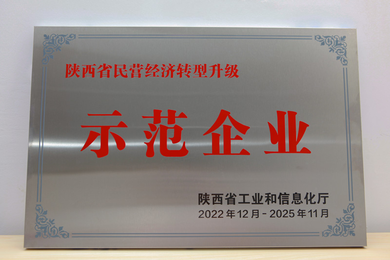 陕西省民营经济转型升级示范企业